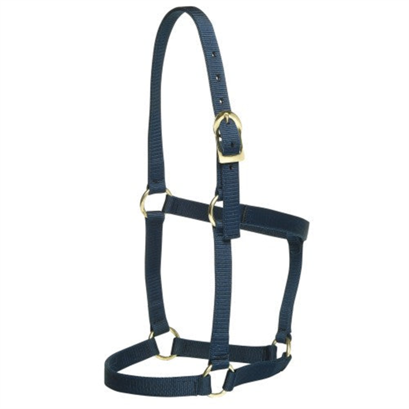 GG Horse Halter Stable Burgundy Full