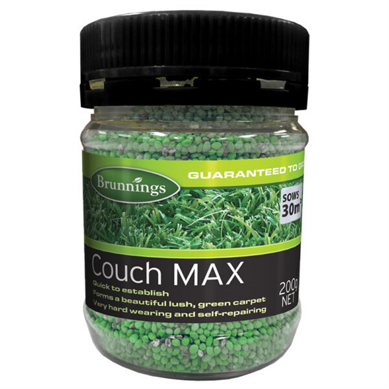 Brunnings Couch Max Lawn Seed 200g