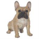 Takasho French Bulldog Figurine