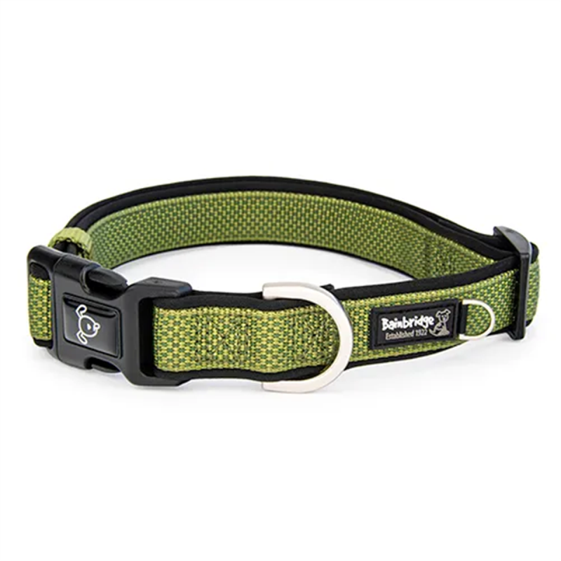 Bainbridge Premium Sport Dog Collar Green