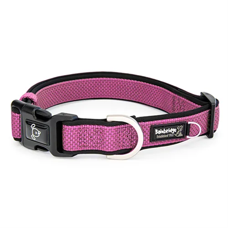 Bainbridge Premium Neoprene Dog Collar Pink Small