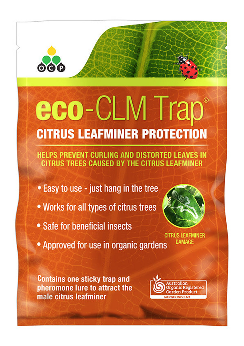 OCP Eco Citrus Leaf Miner Trap