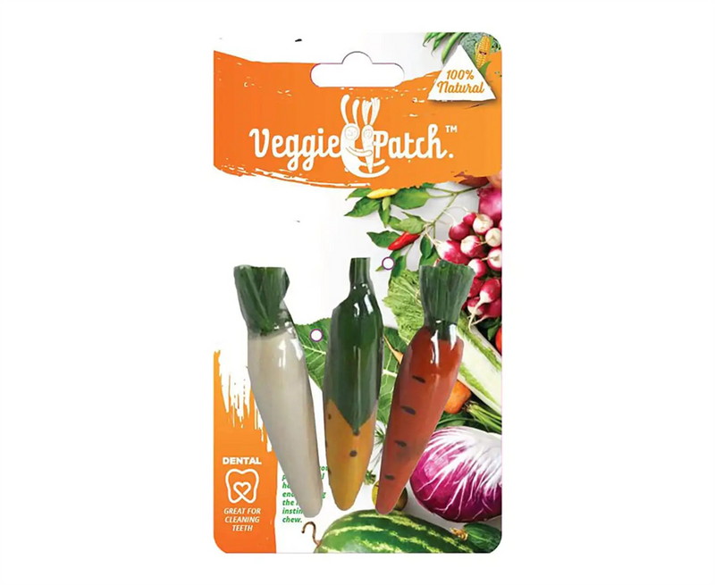 Veggie Patch Carrot & Corn Toys