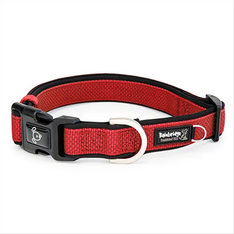 Bainbridge Premium Neoprene Dog Collar Red