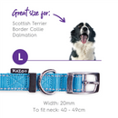 Kazoo Classic Buckle Dog Collar Aqua