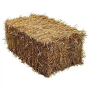 Hay Straw Bale