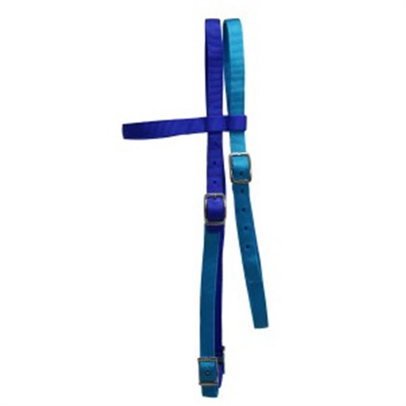 Fort Worth Nylon Headstall Aqua/Blue