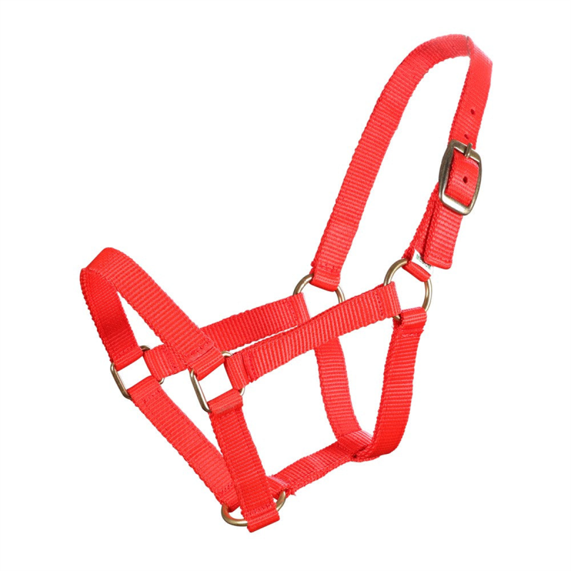 Piccolo Mini Horse Halter Red