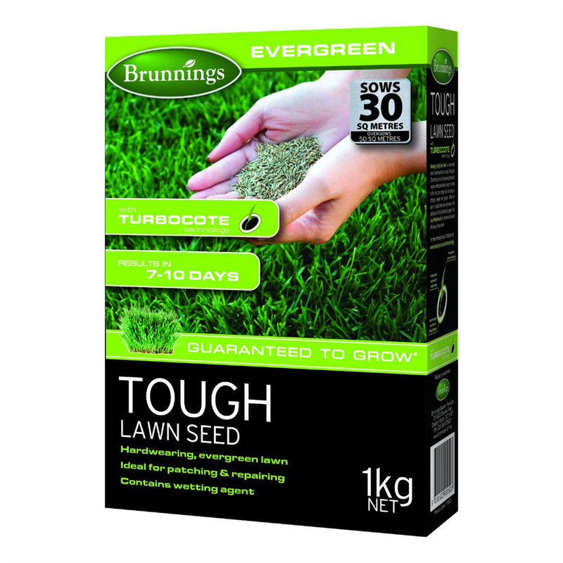 Brunnings Tough Lawn Seed