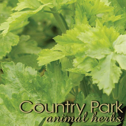 Country Park Celery Seeds Whole 1kg