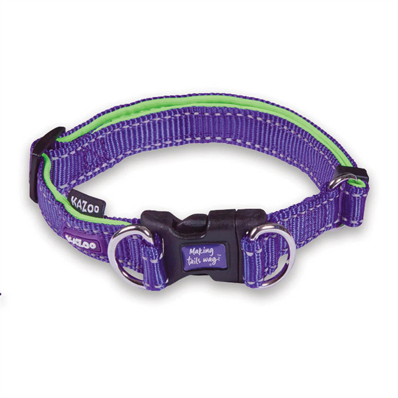 Kazoo Active Easy Clip Dog Collar Purple & Lime
