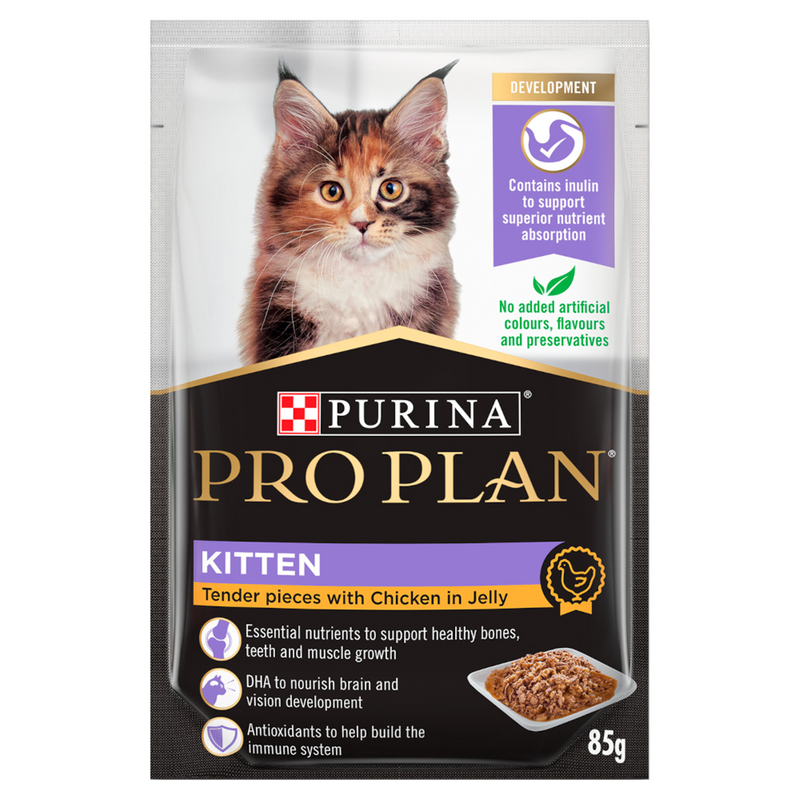 Pro Plan Chicken in Jelly Kitten Food 85g