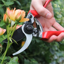 Darlac Professional Bypass Pruner