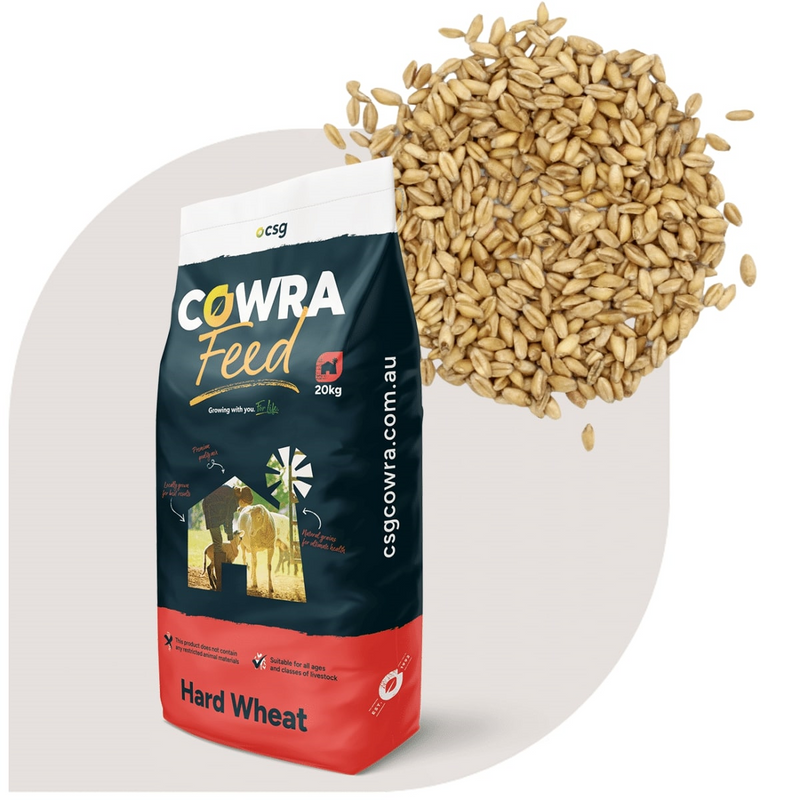 CSG Hard Wheat 20kg