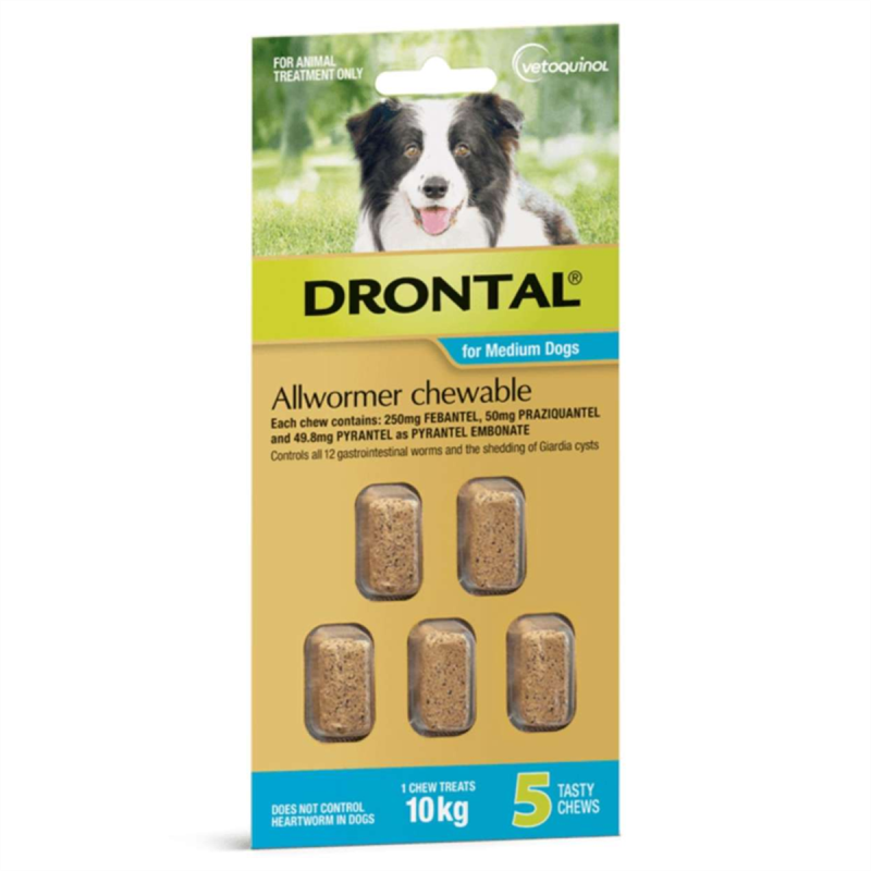 Drontal Allwormer Chewable for Medium Dogs (up to 10kg) 5pk