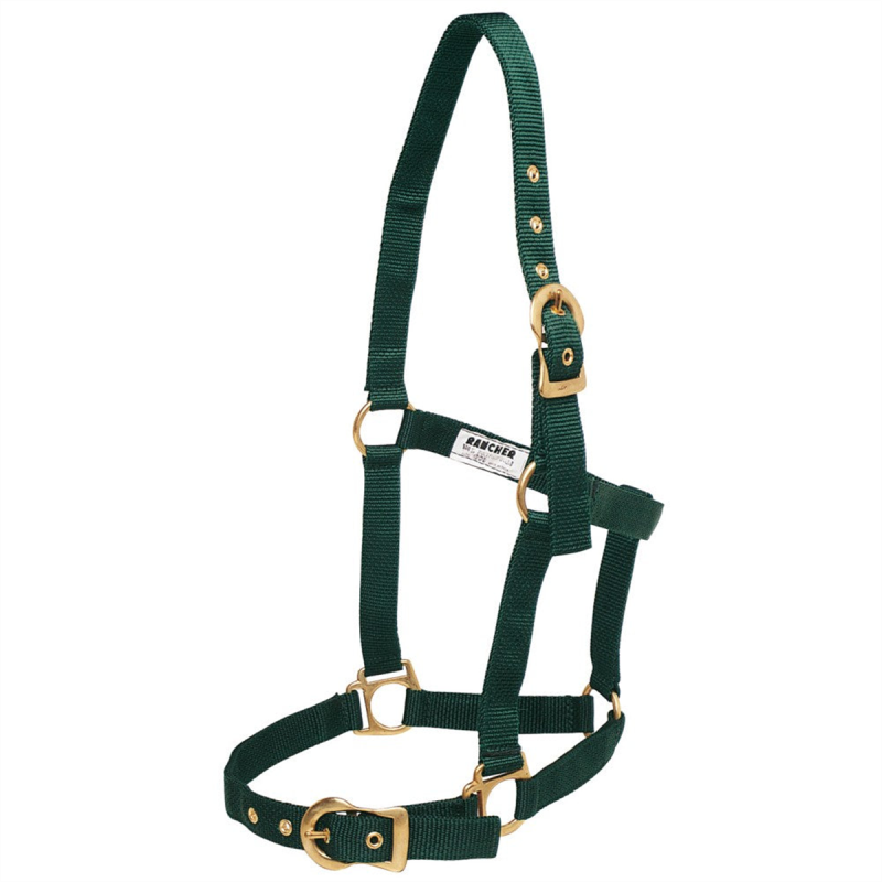 Rancher Horse Halter with Brass Buckles Red Full