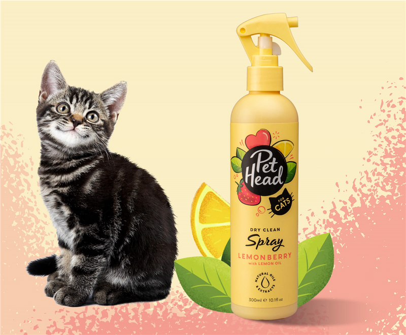 Pet Head Felin' Good Dry Clean Cat Spray