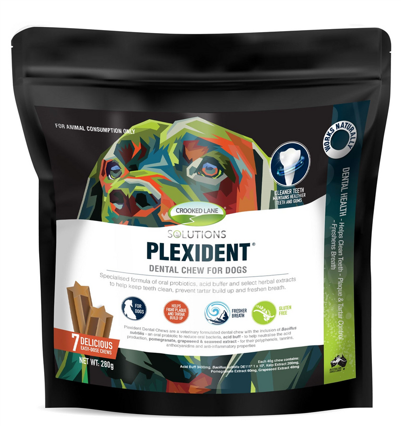 Crooked Lane Plexident Dental Chew for Dogs