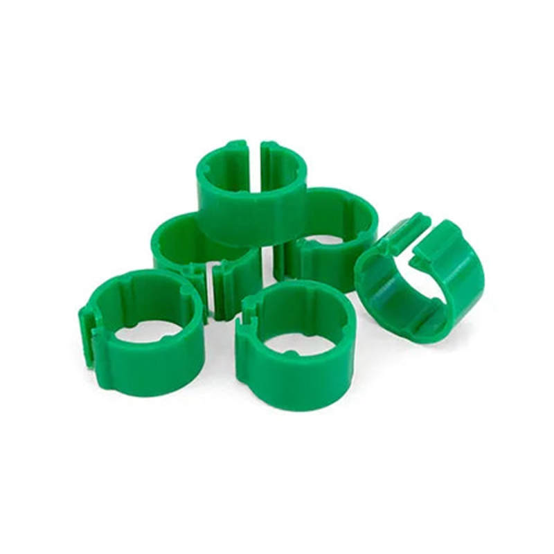 Bainbridge Poultry Leg Bands 8mm 24pk