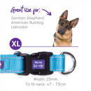 Kazoo Classic Easy-clip Dog Collar Aqua