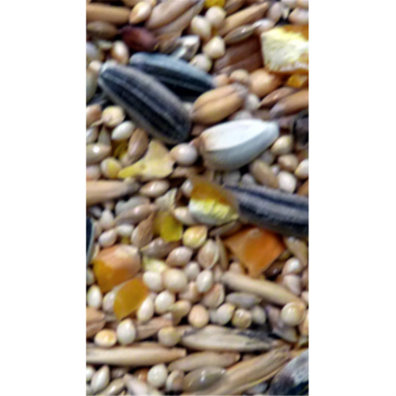 Avigrain Small Parrot Mix