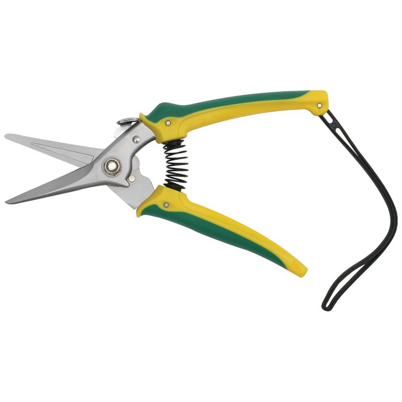 Shoof Footrot Shears