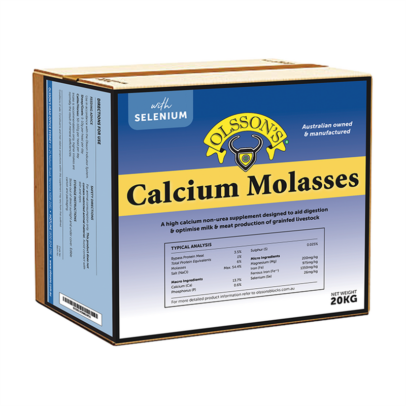 Olssons Calcium Molasses Block
