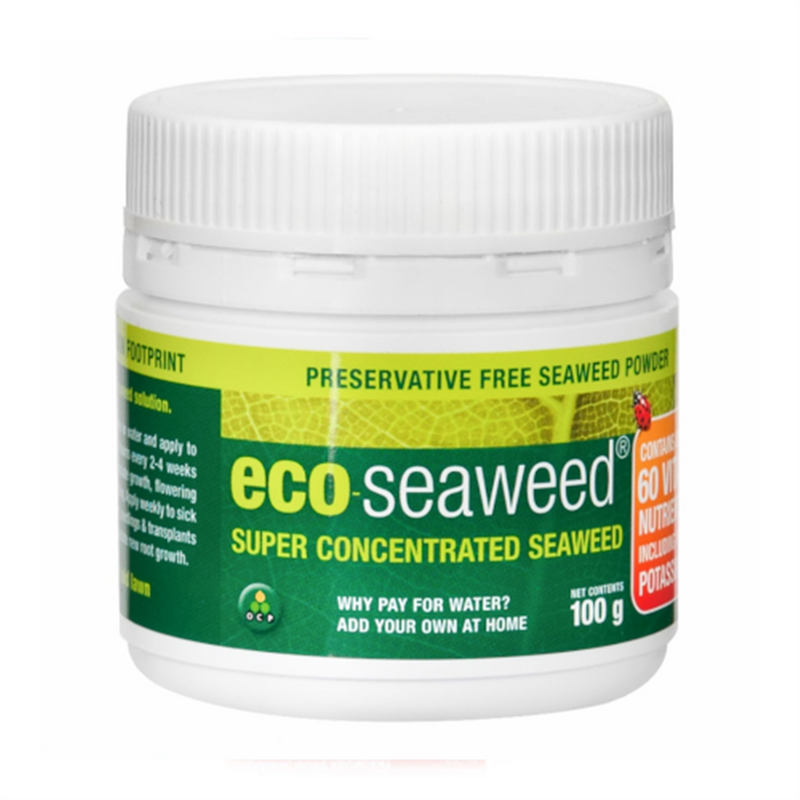OCP Eco-Seaweed