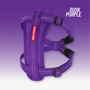 EzyDog Essential Chest Plate Harness Purple
