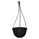 GCP Grecian Jade Hanging Basket