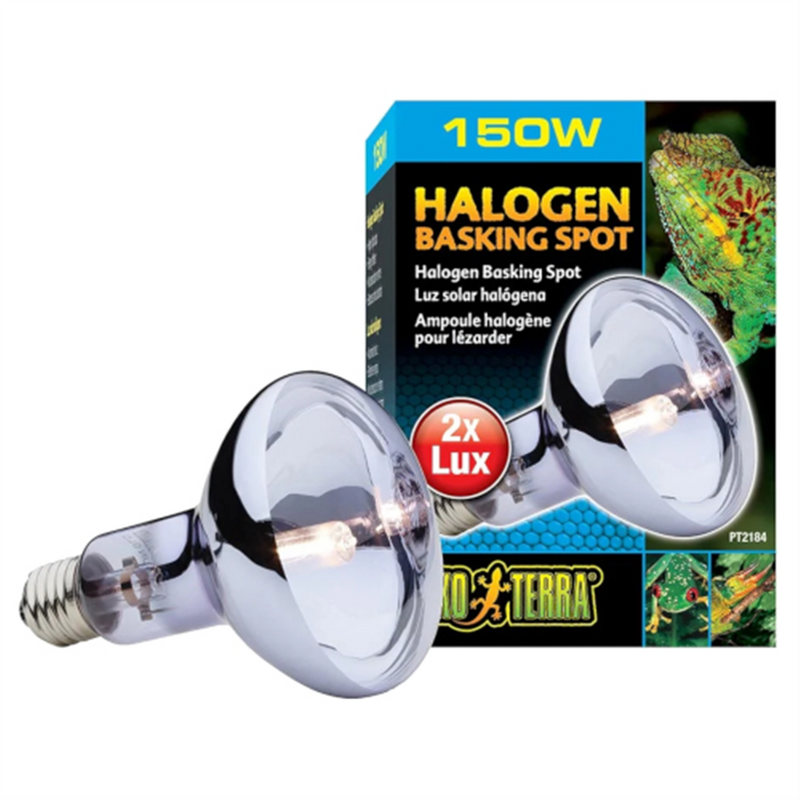 Exo Terra Halogen Basking Lamp