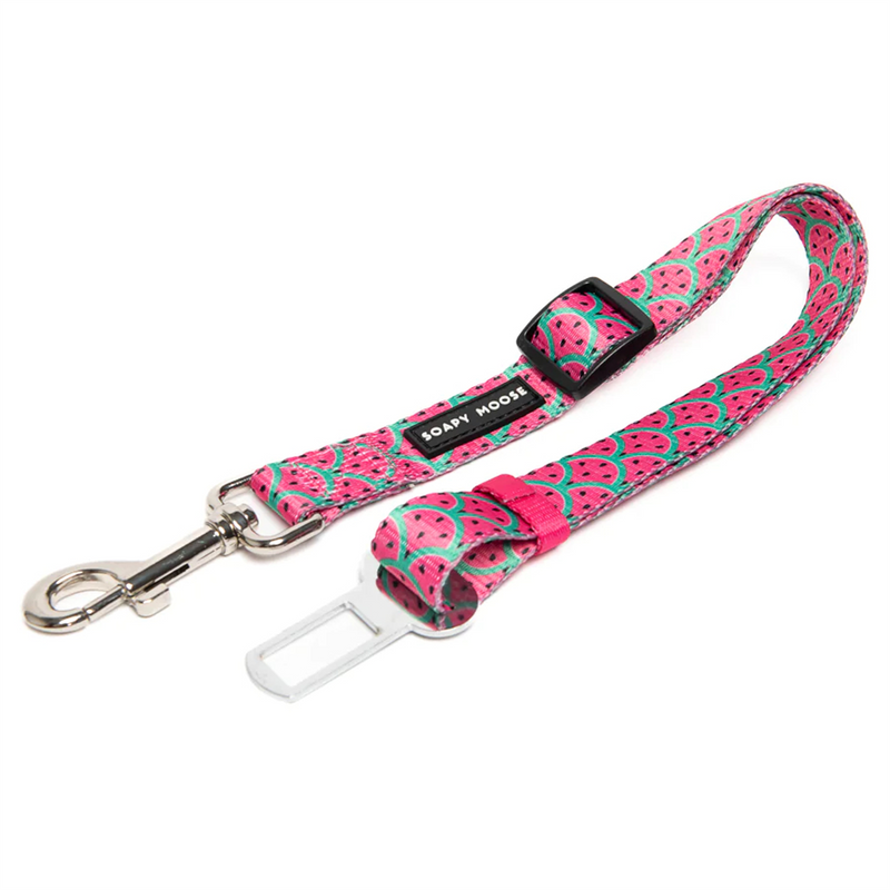 Soapy Moose Watermelon Dog Seat Belt Attachment