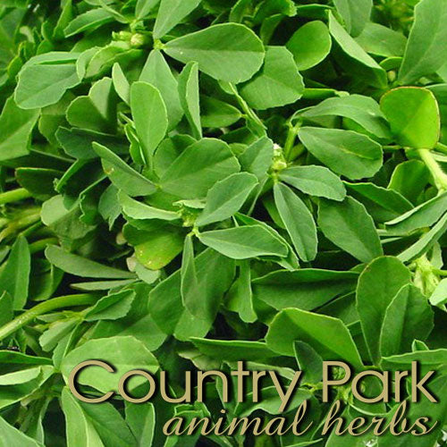 Country Park Fenugreek Powder 1kg