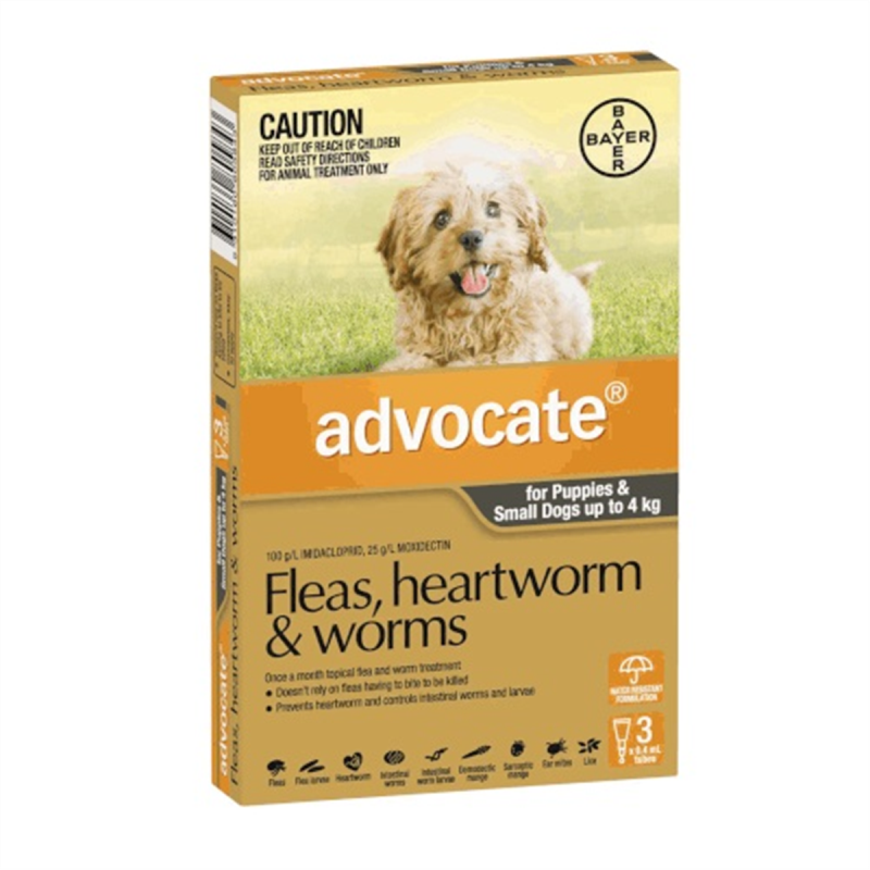 Advocate for Puppies & Small Dogs up to 4kg