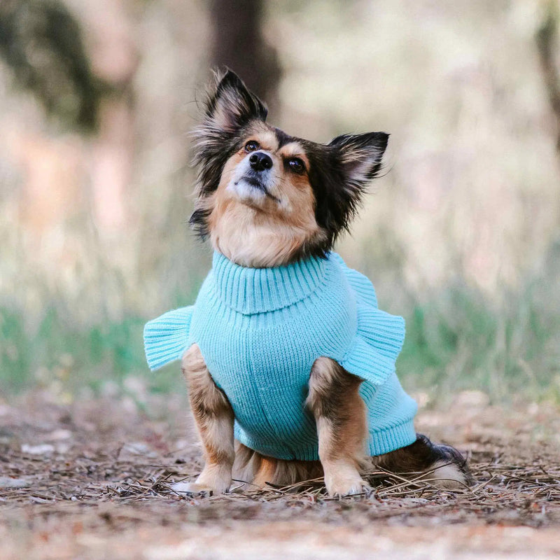 Huskimo Frill Knit Jumper Tiffany Blue Dog Coat