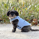 Huskimo Surfer Blue Dog Coat 33cm