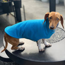 K9 Homes Long Neck Dachshund Dog Coat Turquoise 40cm