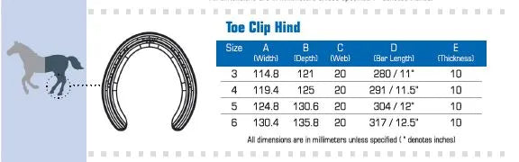 O'Dwyer Performa Hind Toe-Clip Horseshoes