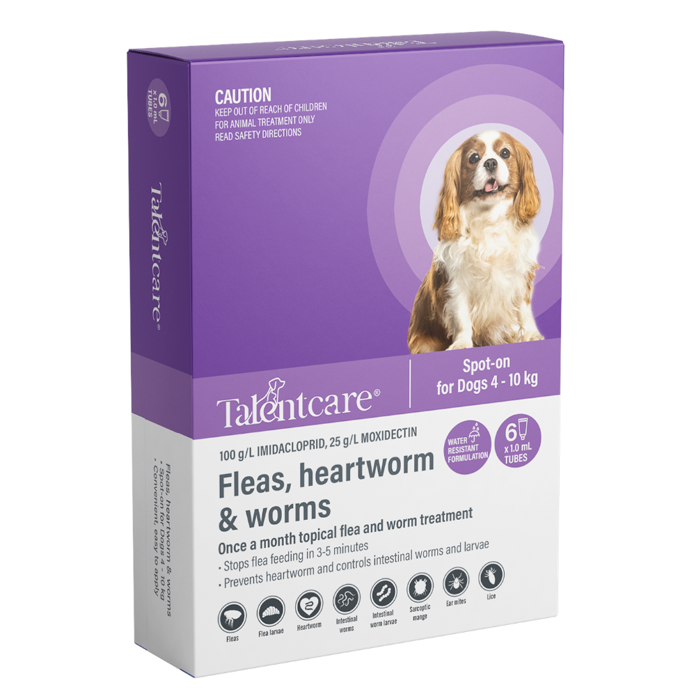 Spot on flea and worm treatment hot sale for dogs