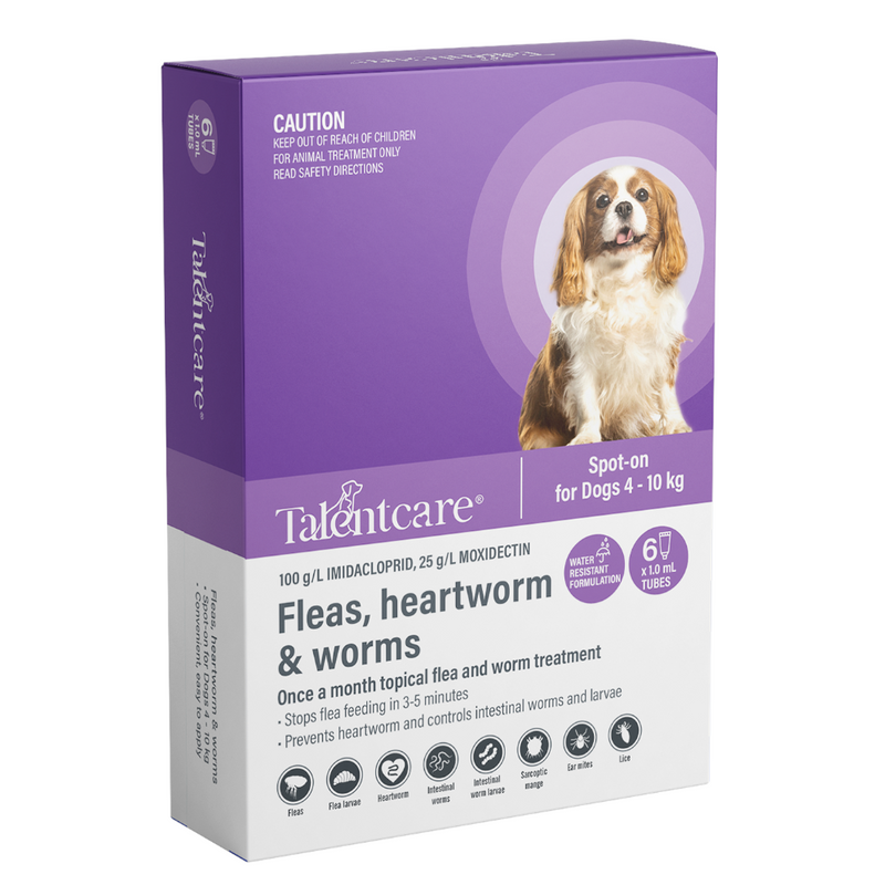 Talentcare Spot-On Flea & Worm Treatment For Dogs 4 To 10kg