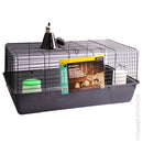 Pet One First Chicken Kit - Raymonds Warehouse
