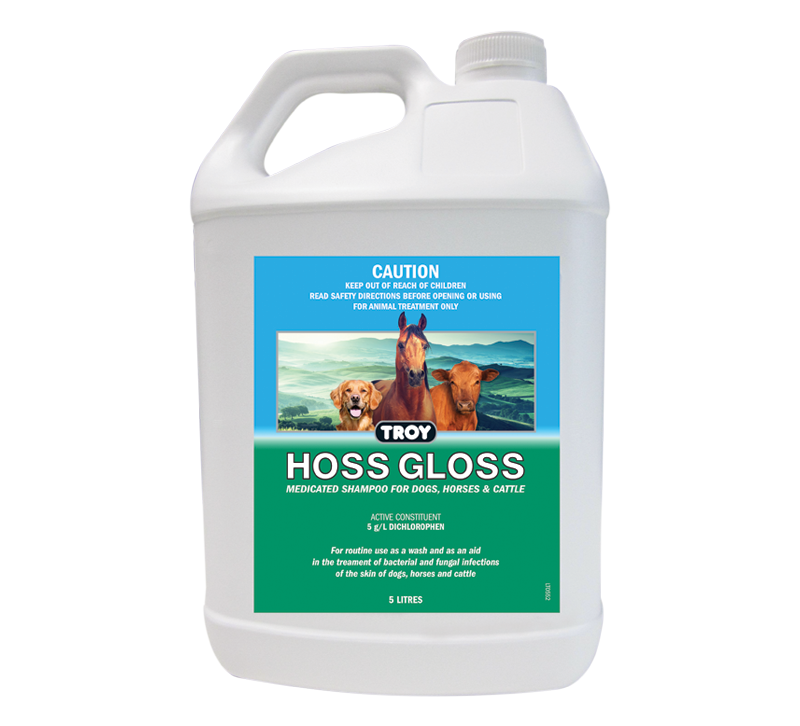 Troy Hoss Gloss Medicated Shampoo - Raymonds Warehouse