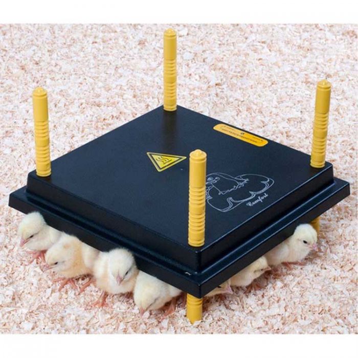 Comfort Heating Plate for Chicks