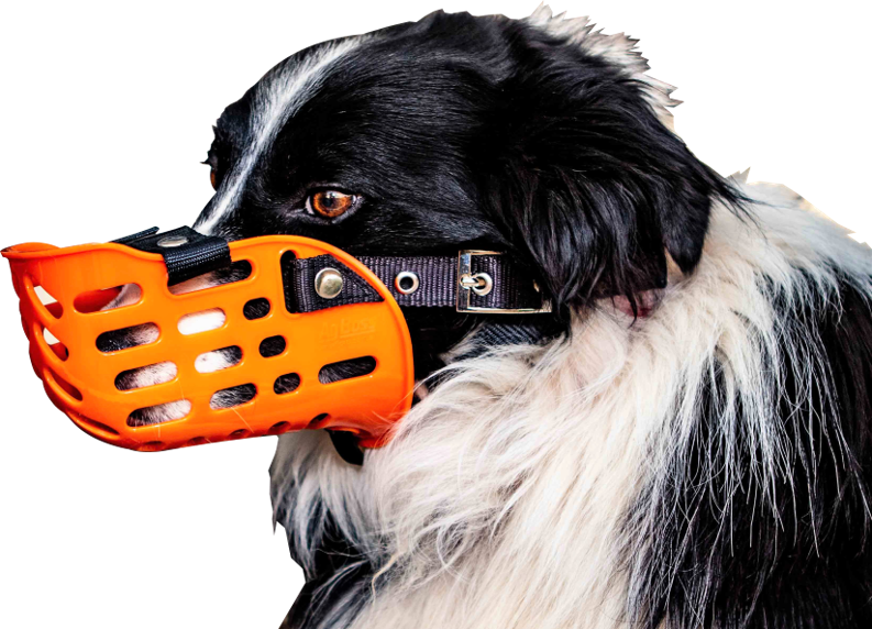 AgBoss Working Dog Muzzle - Plastic - Raymonds Warehouse