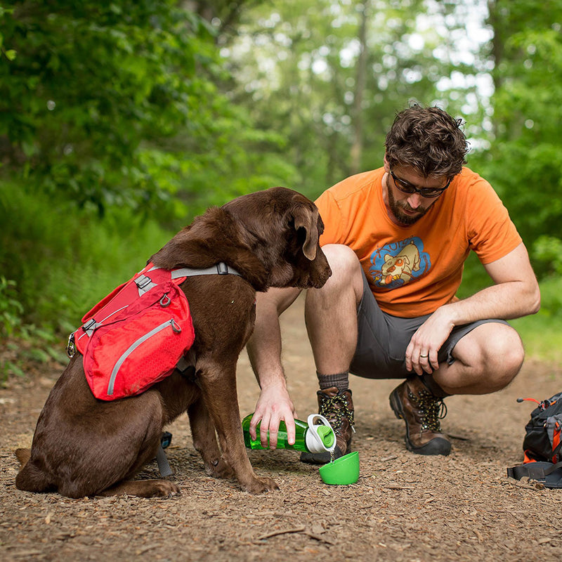 PetSafe Water Bottle & Bowl