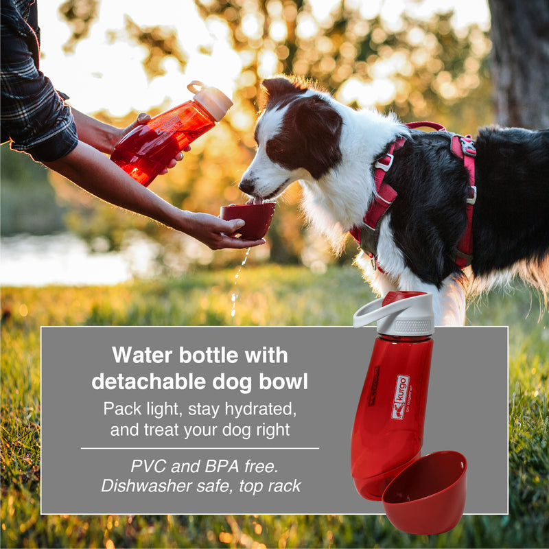 PetSafe Water Bottle & Bowl