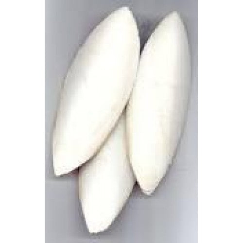 Elite Cuttlebone for Birds