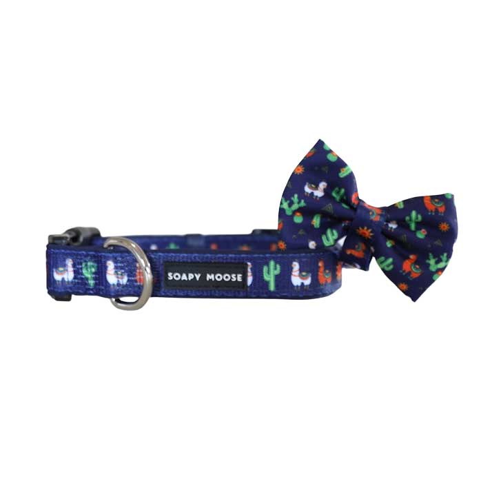 Soapy Moose Desert Llamas Dog Collar and Bow Tie