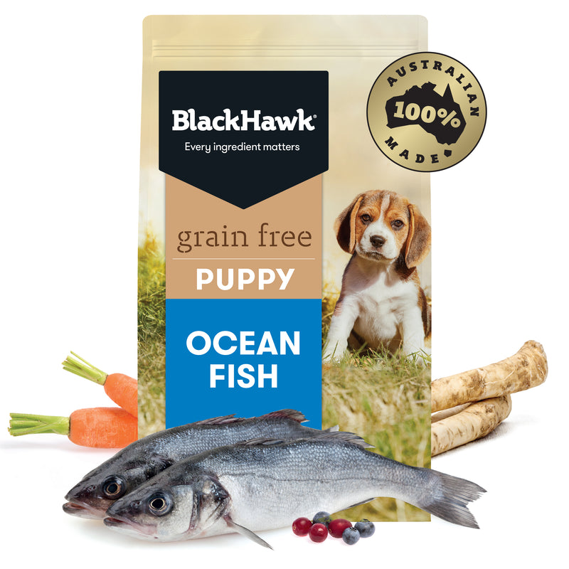 Black Hawk Grain Free Ocean Fish Puppy Food