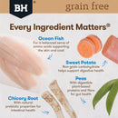 Black Hawk Grain Free Ocean Fish Puppy Food